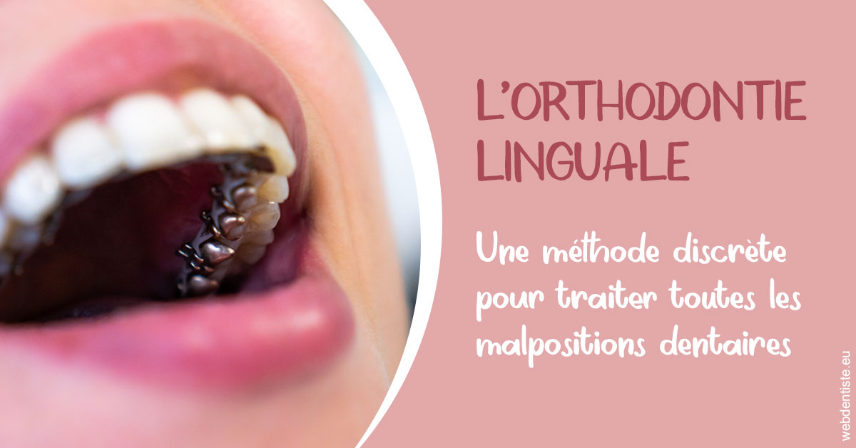 https://dr-charreyron-john.chirurgiens-dentistes.fr/L'orthodontie linguale 2