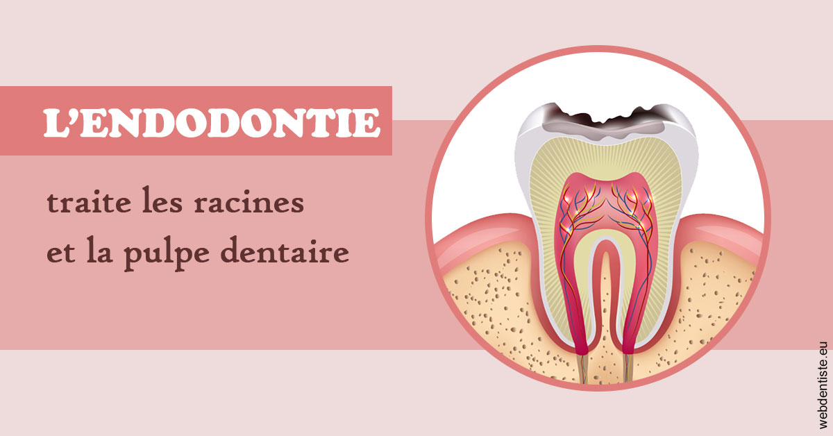 https://dr-charreyron-john.chirurgiens-dentistes.fr/L'endodontie 2