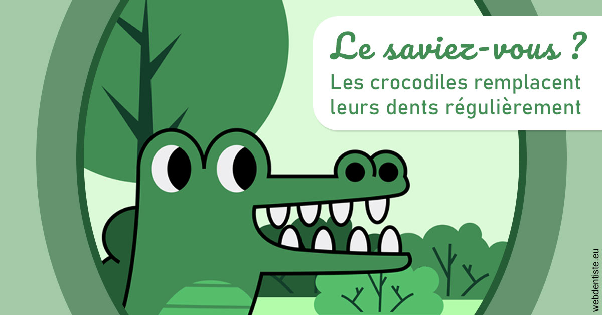 https://dr-charreyron-john.chirurgiens-dentistes.fr/Crocodiles 2