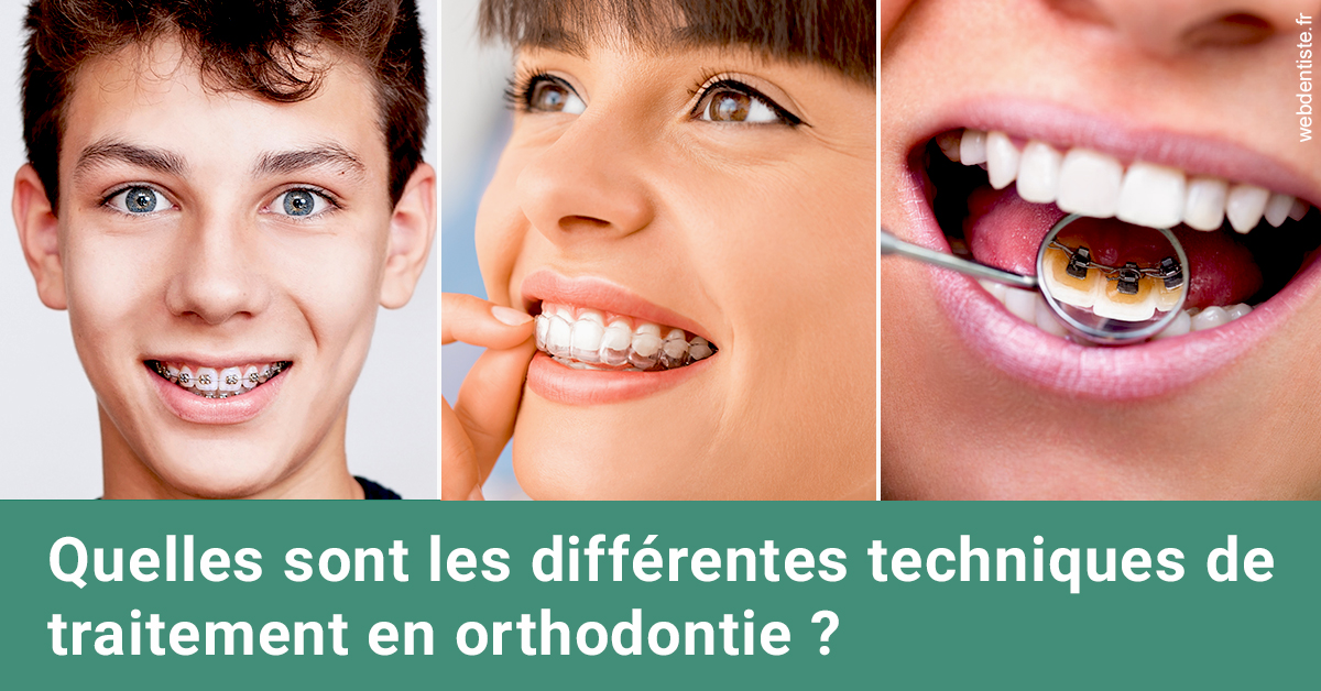 https://dr-charreyron-john.chirurgiens-dentistes.fr/Les différentes techniques de traitement 2